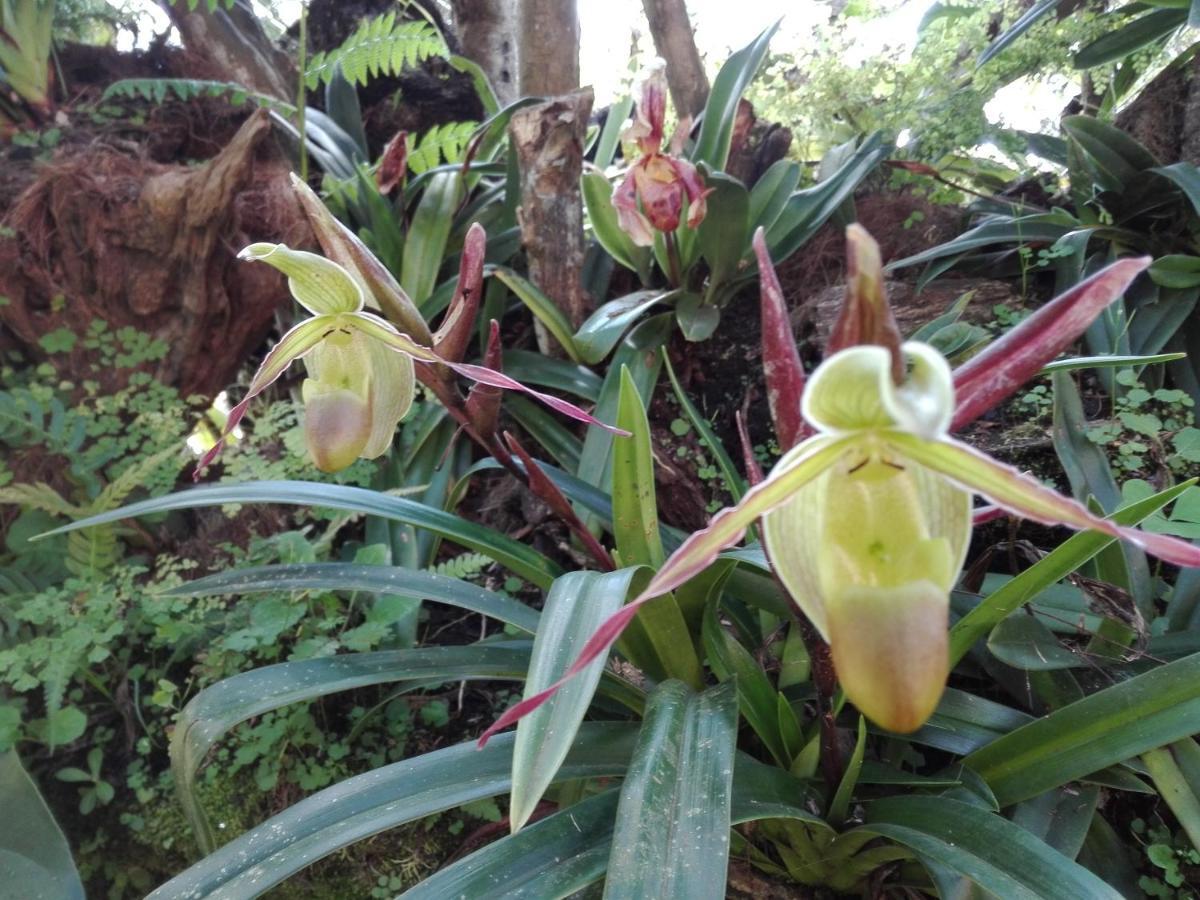 Mi Jardin Encantado Villa Kültér fotó