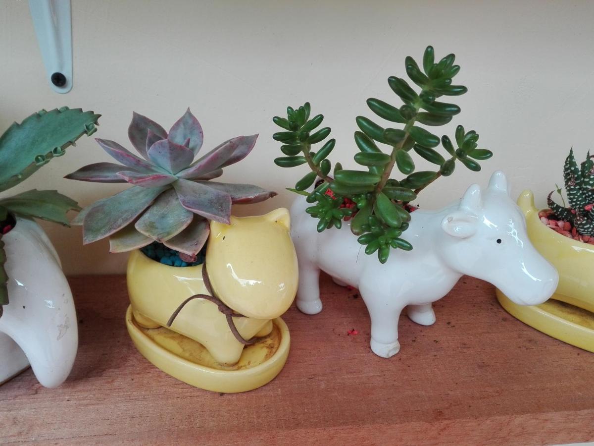 Mi Jardin Encantado Villa Kültér fotó