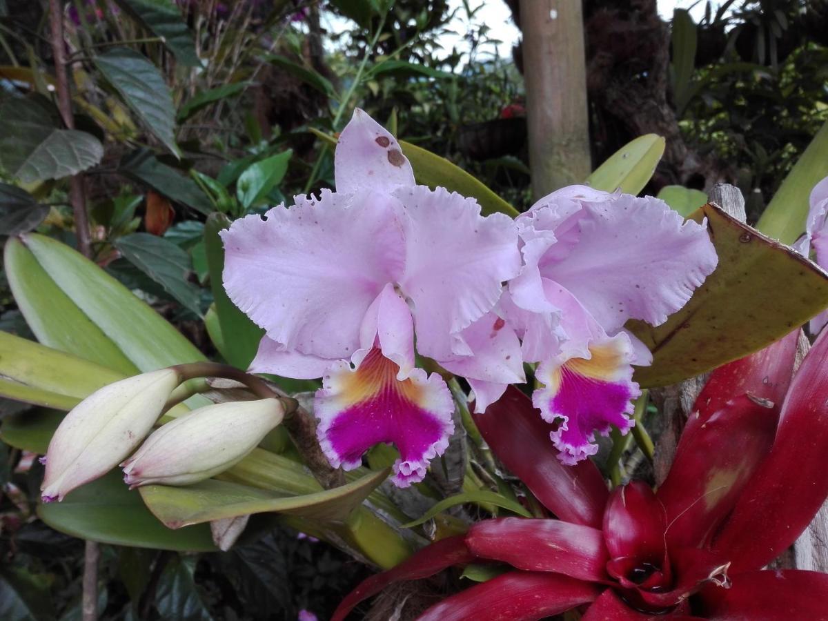 Mi Jardin Encantado Villa Kültér fotó